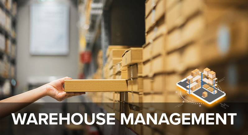 What Is Warehouse Management? A Definition and Best Practices