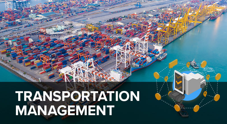 What_Is_Transportation_Management_in_Logistics