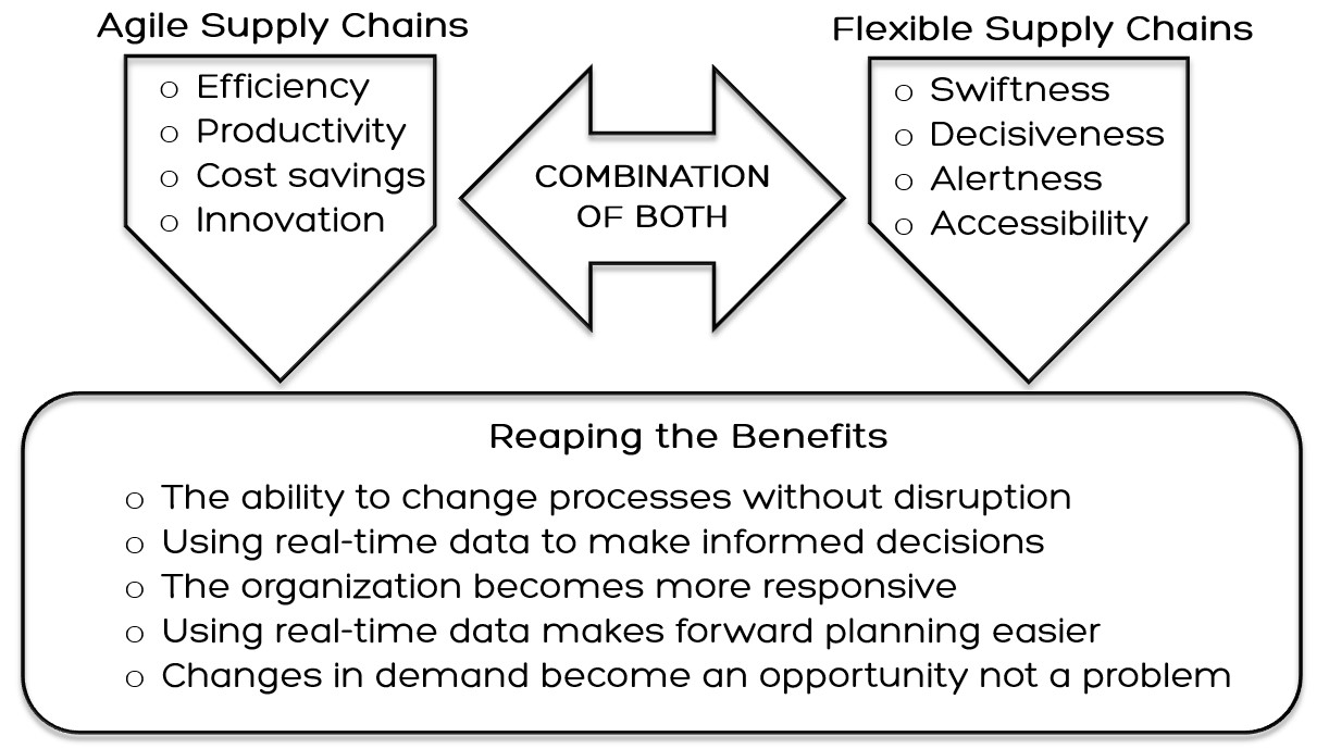 agile vs flexible supply chain